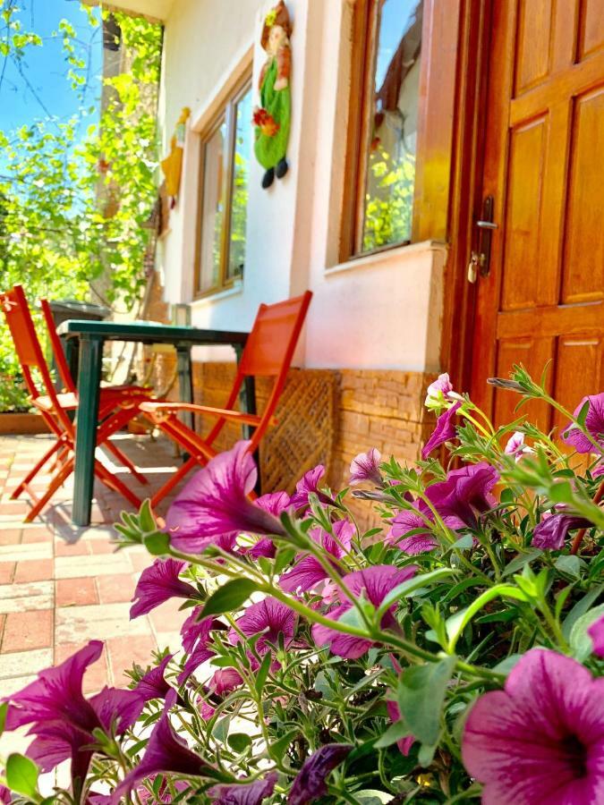 Grinda House - City Center Park And Stay Brașov Exterior foto